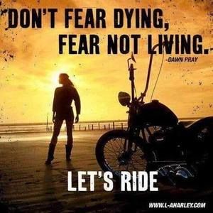 Meet your Posher, Jimmy